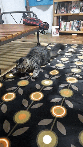 ezgif_com-optimize_1