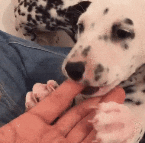 3da12627c483f88fe761efae12d2d9013076dc288d613834768e06f949f4e51b_1