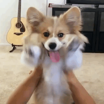 8ecd7704d99a31b2fd920e497163d580a4fcc8365694e15680d50b0d165b6cb5_1