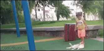 , злая сучка