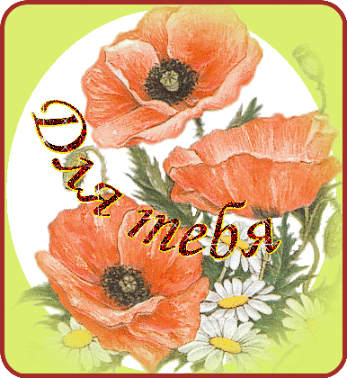 oie_rounded_corners (1)