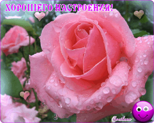 настроения!