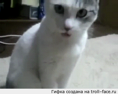 1464787711143421637