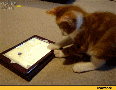 -котейка-Баян-2228458