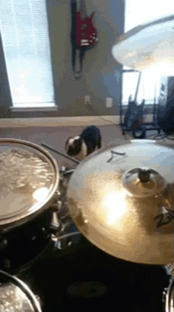 1477466658-0ea0460fdbb7bb2b421441f5374f3985