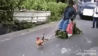 https__vk_com_gif_fak (1)