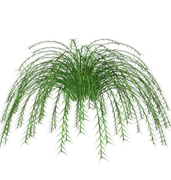 fern_accent_no_pot_base_by_madetobeuniqued485c04_yapfiles.ru_yapfiles.ru