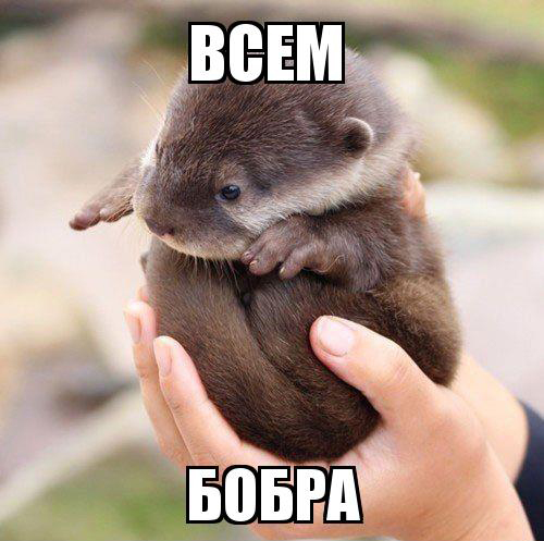 fe0a7cd57de8607329c9209bd9996208