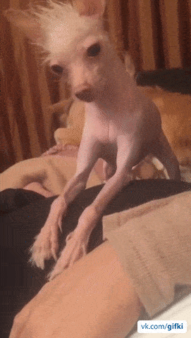 ezgif_com-optimize_3