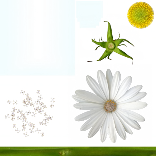_v_vaze