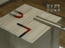 giphy (2)