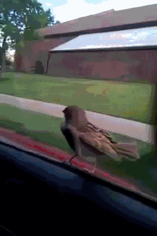 7bda0e3d08bd7196f1ea5bef7b0109cdd3a83cdde490a77d919efbef487e95c1_1