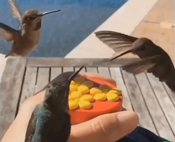 003