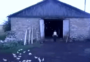 gifkapovelitelgusej