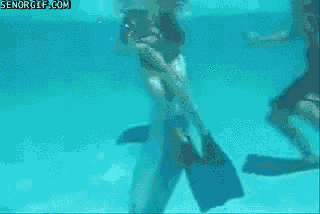 1478167830_gifs_14