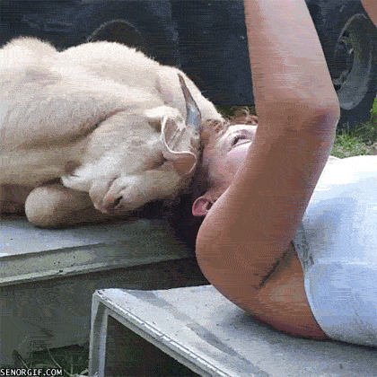 1478167846_gifs_20