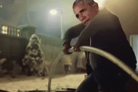 Выборы, выборы...