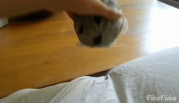 ezgif.com-video-to-gif (2)