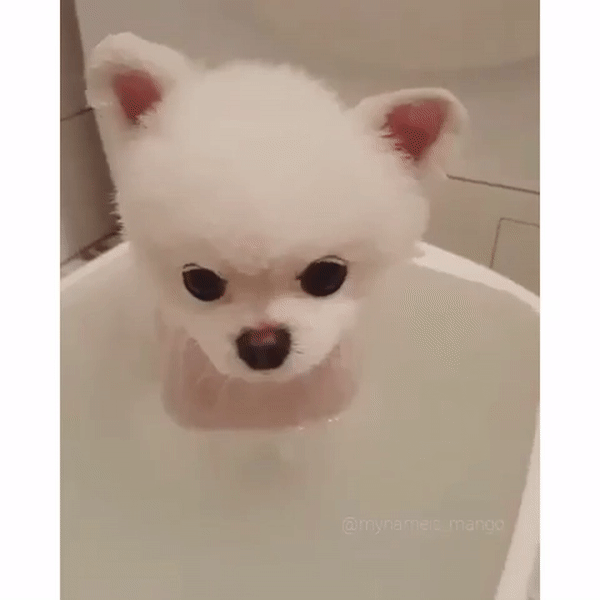 ezgif.com-video-to-gif (5)