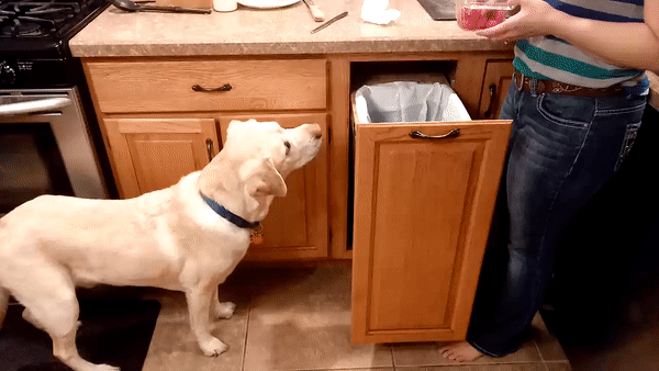 ezgif.com-video-to-gif (9)