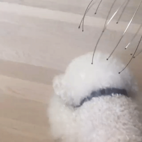 ezgif.com-video-to-gif (18)