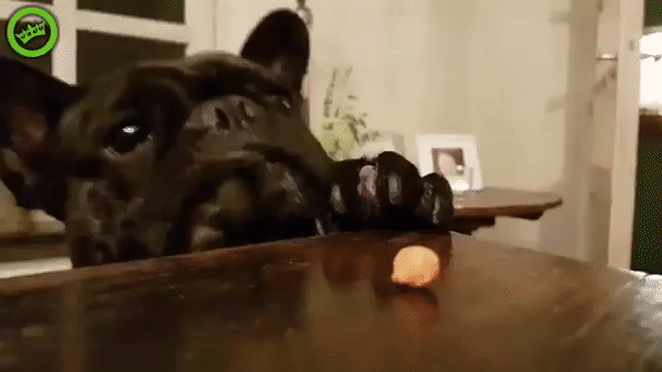 ezgif.com-video-to-gif (27)