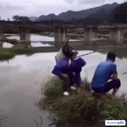 ezgif_com-optimize_20 (1)