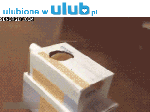 Мы победим!