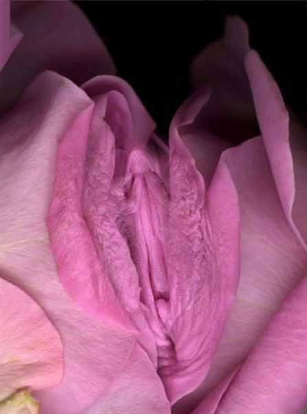 {38f27030-a5c8-474d-9a10-1d4069f55866}