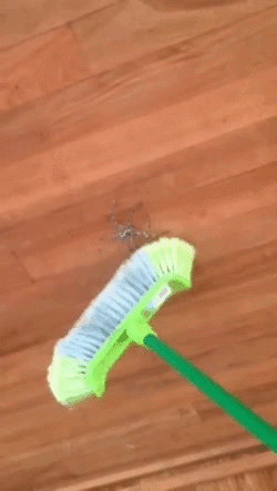 -gif-ублюдок-мать-твою-3480062