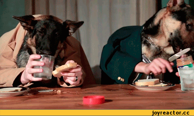 D181D0BED0B1D0B0D0BAD0B8D0B3D0B8D184D0BAD0B8D181D0B0D0B4D0B8D182D0B5D181D18CD0B6D180D0B0D182D18CD0BF