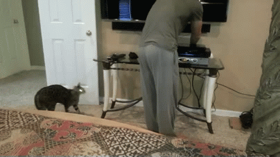 https__vk_com_gif_fak