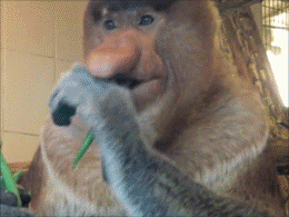 _na_glavnoi_yapfiles_ru_yapfiles.ru