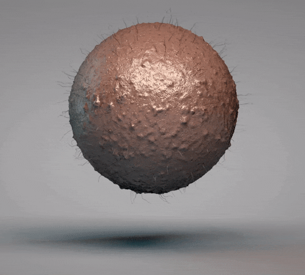 1463112099_0-1