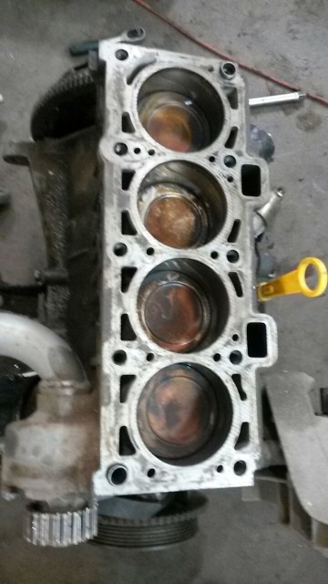 WhatsApp Image 2016-11-13 at 17.57.10