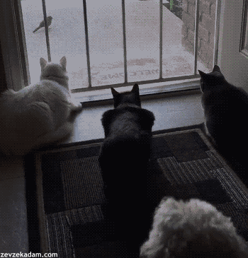 227464_7a7658cf_96e5bc5c11b8f9631302a335a6744e71_tumblr_of8ykfpyn91s3n53to1_400