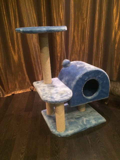 WhatsApp Image 2016-12-01 at 19.53.58