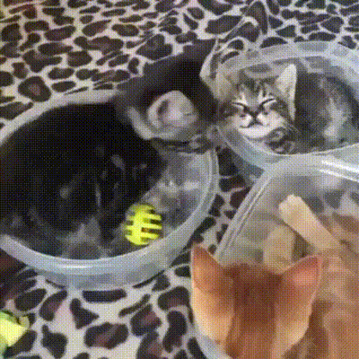 6a22ba88ab920e22ad4eddf79ac