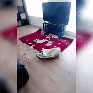 Тут сидел, не вставал