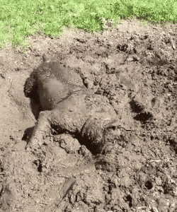 Грязные "таски"