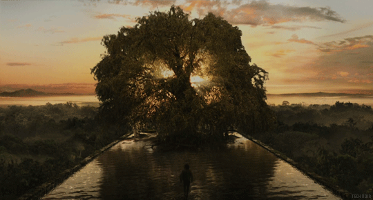 The Fountain