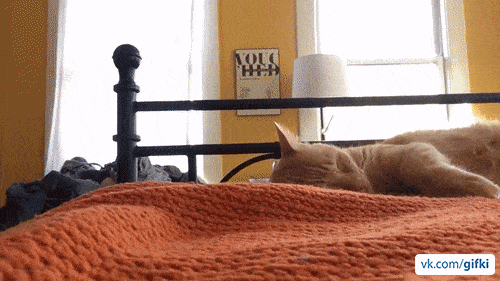 ezgif_com-optimize_8