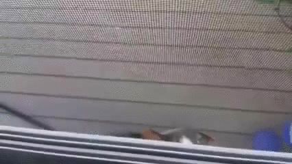 Само совершенство