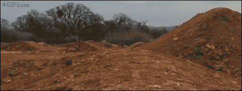 Dog-ball-fetch-jump-fail