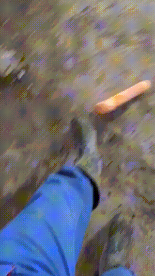 b4867f3735741fad7bf85ca4fd6