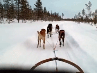 Тяжкая работа