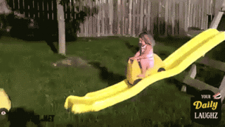 giphy (3)