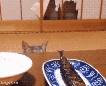 -котэ-живность-рррыба-3537410