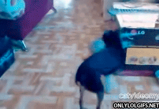 99fc95d82734fbe5ae95ce06cc831f4d