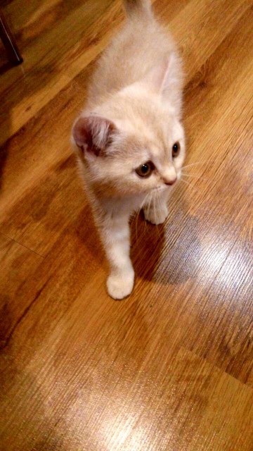 0-02-05-2e57d30f2fac6c5e1b0cf9c509d1fbdb55e31d53f54a2e1278cb1ac01b016efd_full